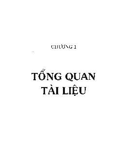 Luận văn Bảo quản trái xoài Mangifera indica L. trong quá trình chín trái