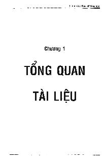 Luận văn Tạo kháng nguyên tái tổ hợp M1 của virus cúm A bằng các hệ thống biểu hiện trong Escherichia coli