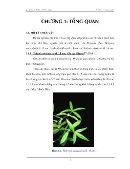 Luận văn Tìm hiểu thành phần hóa học của một số cây thuộc chi hedyotis mọc ở Việt Nam và điều chế một số dẫn xuất thioflavon từ các flavon cô lập được