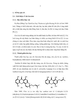 Luận văn Khảo sát thành phần hóa học của vỏ cây gỏi (garcinia ferrea pierre)