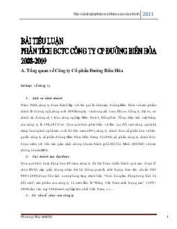 Tiểu luận Phân tích báo cáo tài chính công ty cổ phần đường Biên Hòa 2008-2009