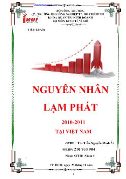 Tiểu luận Nguyên nhân lạm phát 2010-2011 tại Việt Nam