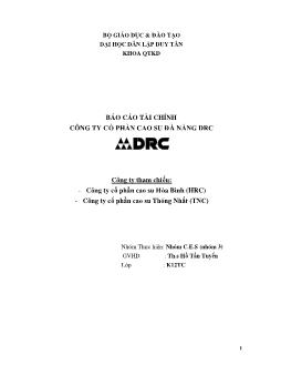 Báo cáo Tài chính công ty cổ phần cao su Đà Nẵng DRC