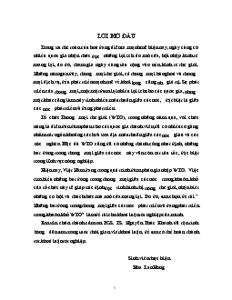 Khóa luận Những bất đồng trong thương mại giữa các nước phát triển và đang phát triển trong khuôn khổ WTO