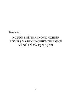 Tổng luận Nguồn phế thải công nghiệp rơm rạ và kinh nghiệm thế giới về xử lý và tận dụng