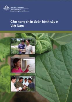 Cẩm nang chẩn đoán bệnh cây ở Việt Nam