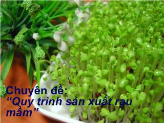 Chuyên đề Quy trình sản xuất rau mầm