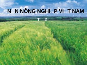 Đề tài Đặc điểm nền nông nghiệp Việt Nam