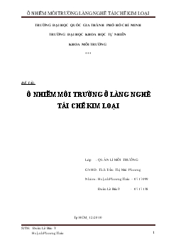 Tiểu luận Ô nhiễm môi trường ở làng nghề tái chế kim loại