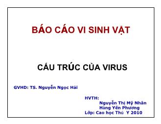 Báo cáo Cấu trúc của virus