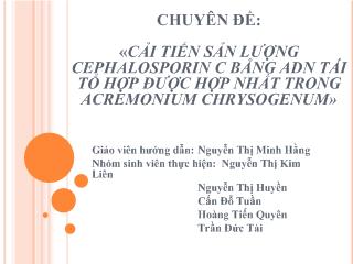 Chuyên đề Cải tiến sản lượng Cephalosporin C bằng ADN tái tổ hợp được hợp nhất trong Acremonium Chrysogenum