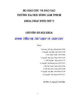 Chuyên đề Khám trên hệ tiết niệu và sinh dục