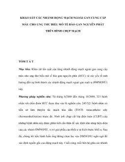 Khảo sát các nhánh động mạch ngoài gan cung cấp máu cho ung thư biểu mô tế bào gan nguyên phát trên hình chụp mạch