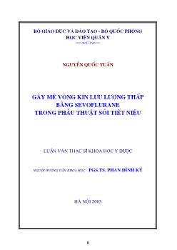 Luận văn Gây mê vòng kín lưu lượng thấp bằng sevoflurane trong phẫu thuật sỏi tiết niệu