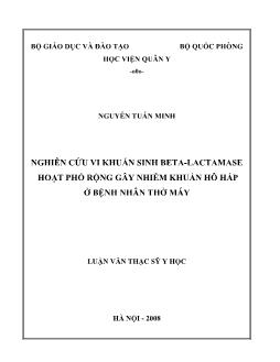 Luận văn Nghiên cứu vi khuẩn sinh Beta-Lactamase hoạt phổ rộng gây nhiễm khuẩn hô hấp ở bệnh nhân thở máy