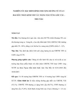 Nghiên cứu đặc điểm hình ảnh cộng hưởng từ của u bao dây thần kinh VIII và u màng não vùng góc cầu - tiểu não
