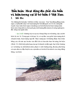 Tiểu luận Hoạt động địa chất của biển và hiện tượng sạt lở bờ biển ở Việt Nam