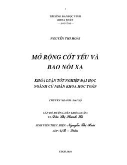 Khóa luận Mở rộng cốt yếu và bao nội xạ