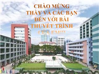 Đề tài Tin học ứng dụng - Phụ nữ Việt Nam