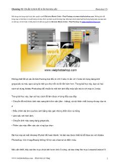 Giáo trình Photoshop CS - Chuẩn bị hình để in ấn hai màu sắc