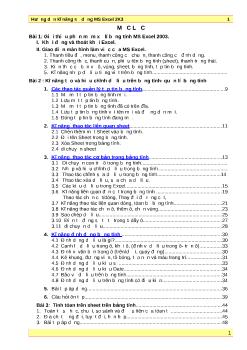 Hướng dẫn kỹ năng sử dụng MS Excel 2003