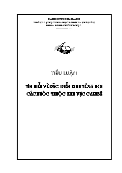 Tiểu luận Tìm hiểu về đặc điểm kinh tế xã hội các nước thuộc khu vực Caribê