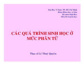 Bài giảng Các quá trình sinh học ở mức phân tư