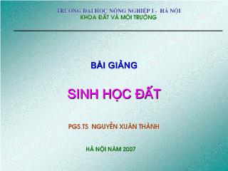 Bài giảng Sinh học đất