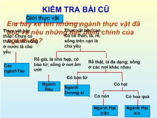 Bài giảng Sinh học lớp 6 - Sự phát triển của giới thực vật