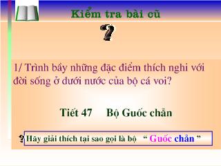 Bài giảng Sinh học lớp 7 - Bộ guốc chẵn