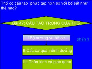 Bài giảng Sinh học lớp 7 - Cấu tạo trong của thỏ