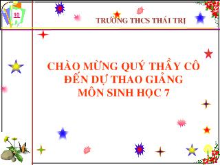 Bài giảng Sinh học lớp 7 - Tôm sông