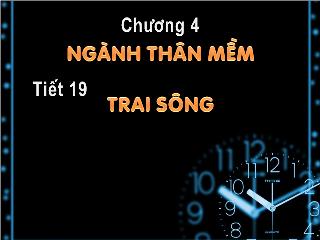 Bài giảng Sinh học lớp 7 - Trai sông