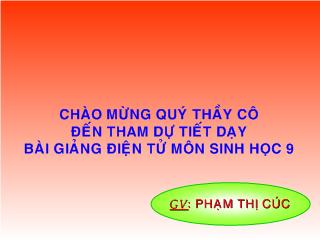 Bài giảng Sinh học lớp 9 - Hệ sinh thái