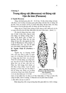 Giáo trình Động vật không xương sống - Trung động vật (Mesozoa) và Động vật Cận đa bào (Parazoa)