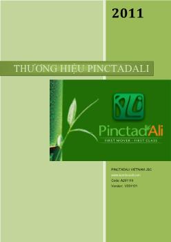 Báo cáo Hệ thống giá trị thương hiệu Pinctadali