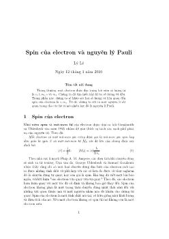 Spin của electron và nguyên lý Pauli