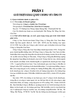 Báo cáo Phân tích hoạt động sản xuất kinh doanh của công ty cổ phần Gas Petrolimex