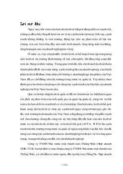 Chuyên đề Một số giải pháp nhằm nâng cao năng lực cạnh tranh của công ty TNHH Nhà nước một thành viên Thống Nhất (DMC-FER