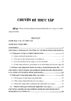 Chuyên đề Phát triển hoạt động kinh doanh nhập khẩu của công ty cổ phần Tổng Bách Hóa