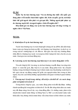 Tiểu luận Hãy đánh giá tác động của tự do hoá thương mại tới tăng trưởng và nghèo đói ở Việt Nam