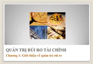 Bài giảng Quản trị rủi ro tài chính - Giới thiệu về quản trị rủi ro