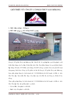 Đề tài Báo cáo tài chính Công ty cổ phần thủy sản mekong