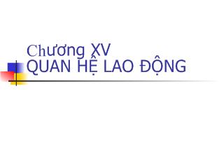 Bài giảng Quan hệ lao động