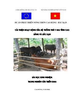 Dự án Cải thiện hoạt động của hệ thống thú y hai tỉnh Cao Bằng và Bắc Kạn