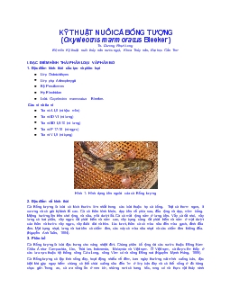 Kỹ thuật nuôi cá bống tượng (oxyeleotris marmoratus bleeker)