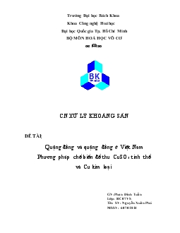 Tiểu luận Quặng đồng và quặng đồng ở Việt Nam Phương pháp chế biến để thu CuSO4 tinh thể và Cu kim loại