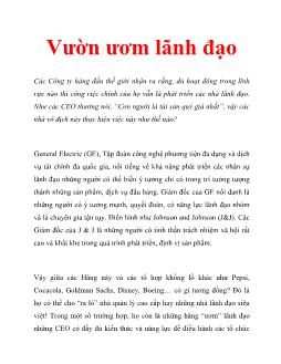 Vườn ươm lãnh đạo