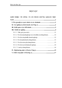 Báo cáo thực tập tại Công ty Cổ phần Chứng khoán Việt Nam