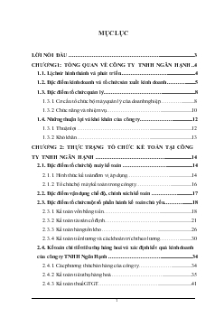 Báo cáo thực tập Thực trạng tổ chức kế toán tại c ông ty TNHH Ngân Hạnh